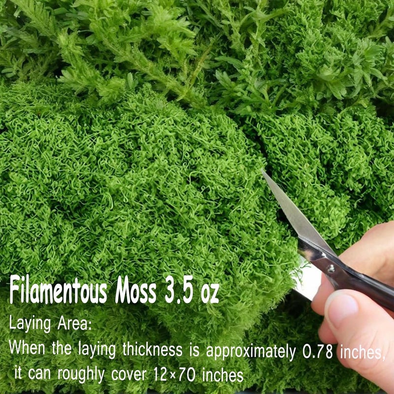 ZDSLASHES Artificial Moss for Decor – 3.5OZ Faux Greenery for Potted Plants, Crafts, Fairy Gardens & Weddings – Realistic Preserved Moss for DIY Centerpieces & Floral Arrangements (Dark Green, 100g) - Image 2